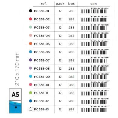 pc538 ENVELOPE FOLDER