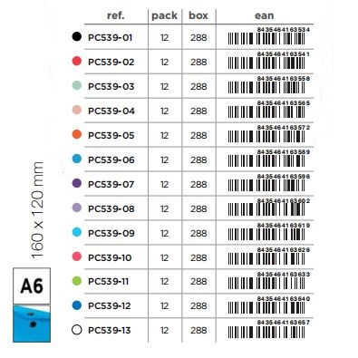 pc539 ENVELOPE FOLDER